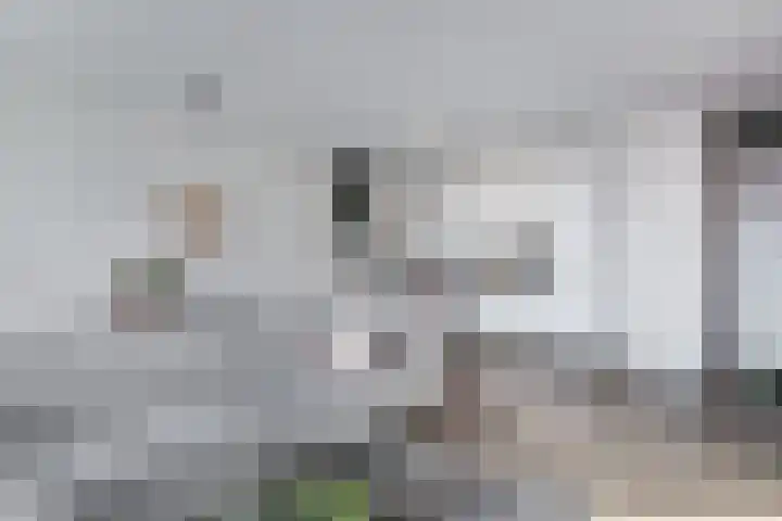 Terschellingkade 208 Amersfoort thumbnail 11