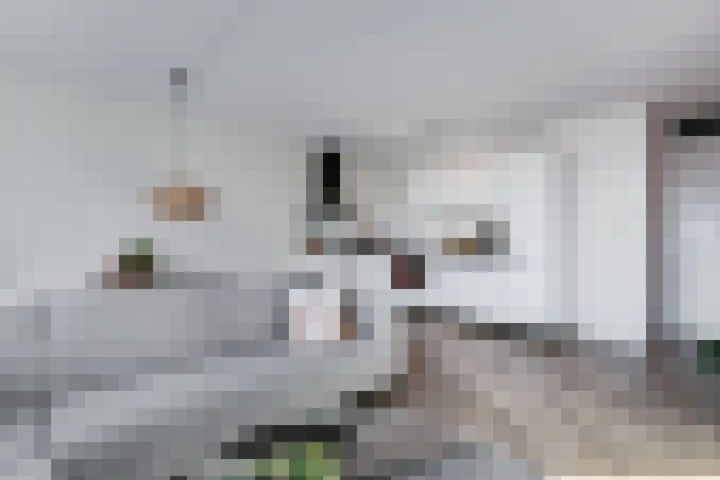 Terschellingkade 208 Amersfoort thumbnail 11