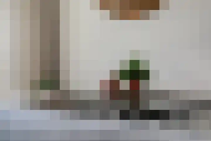 Terschellingkade 208 Amersfoort thumbnail 12