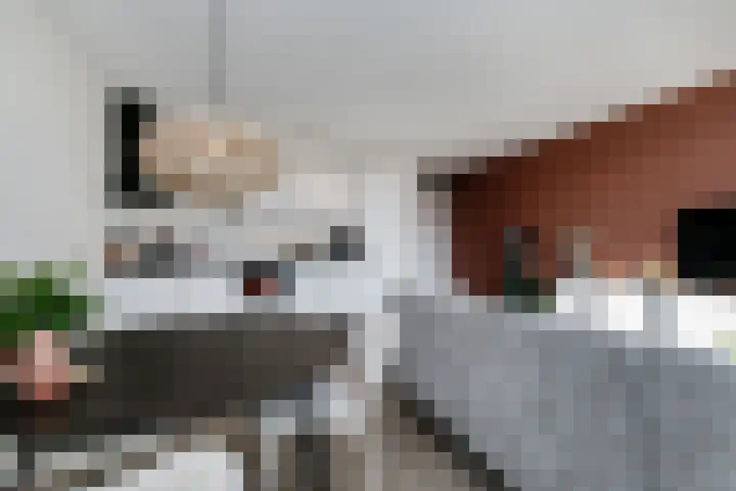 Terschellingkade 208 Amersfoort thumbnail 14
