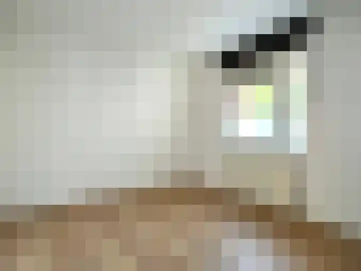 Terschellingkade 21 Woerden thumbnail 18