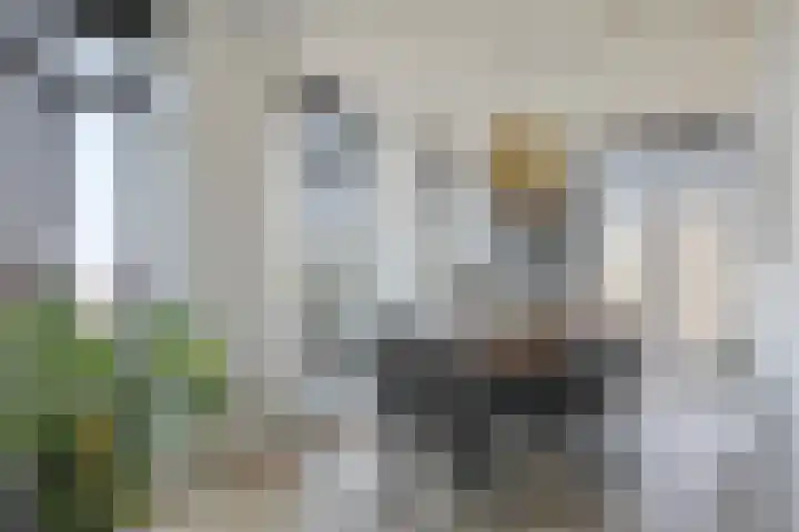 Terschellingkade 212 Amersfoort thumbnail 12
