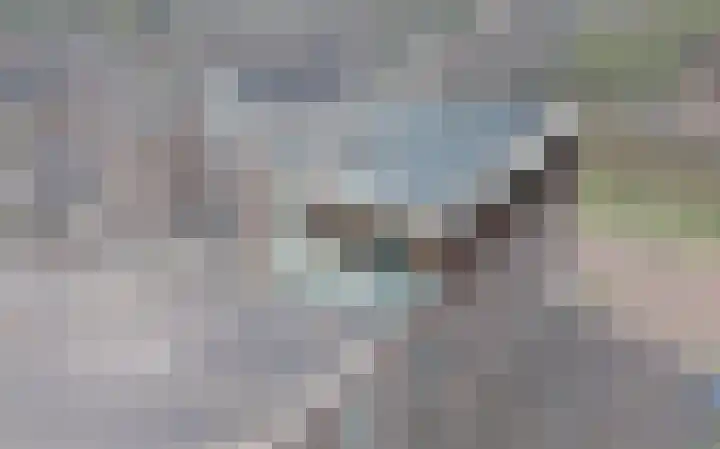 Terschellingkade 212 Amersfoort thumbnail 6