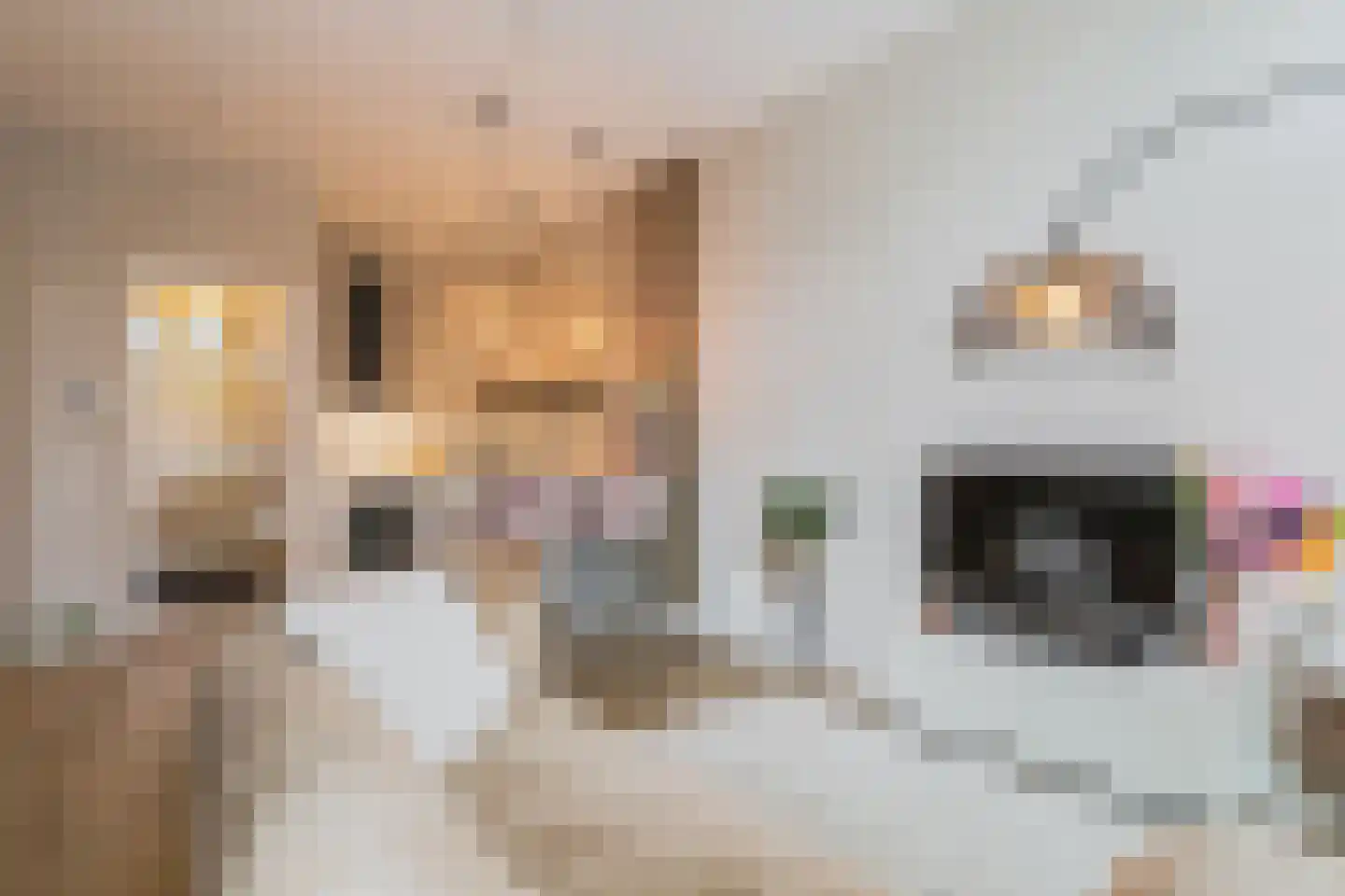 Terschellingkade 236 Amersfoort thumbnail 19
