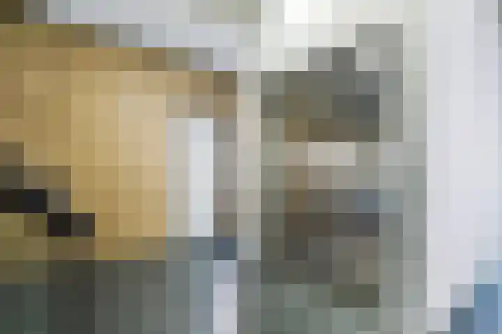 Terschellingkade 236 Amersfoort thumbnail 33