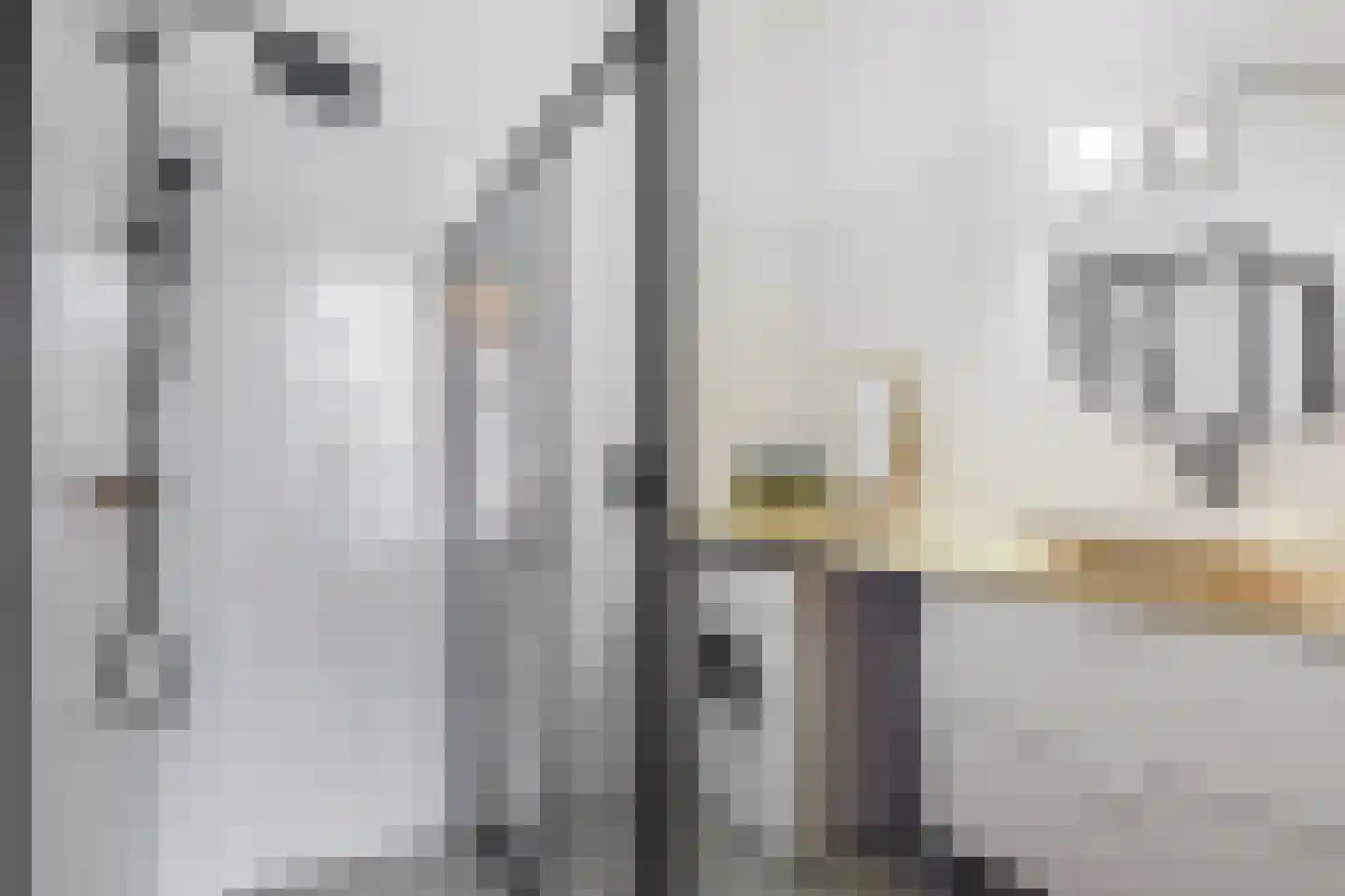 Terschellingkade 236 Amersfoort thumbnail 36