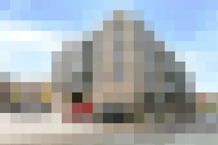 Terschellingkade 236 Amersfoort thumbnail 39
