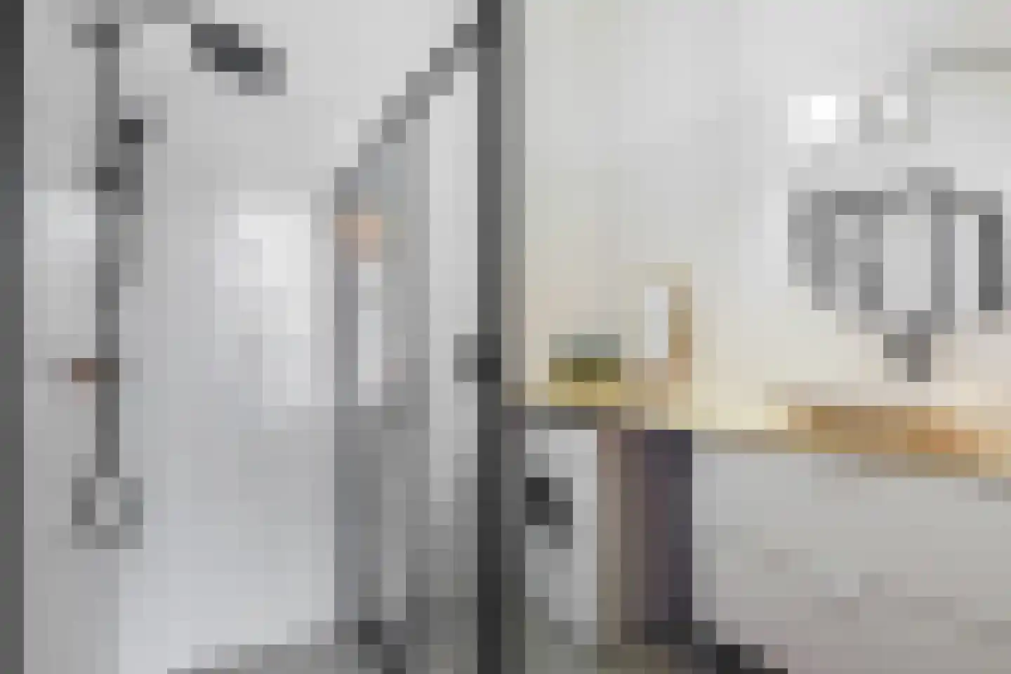 Terschellingkade 236 Amersfoort thumbnail 6