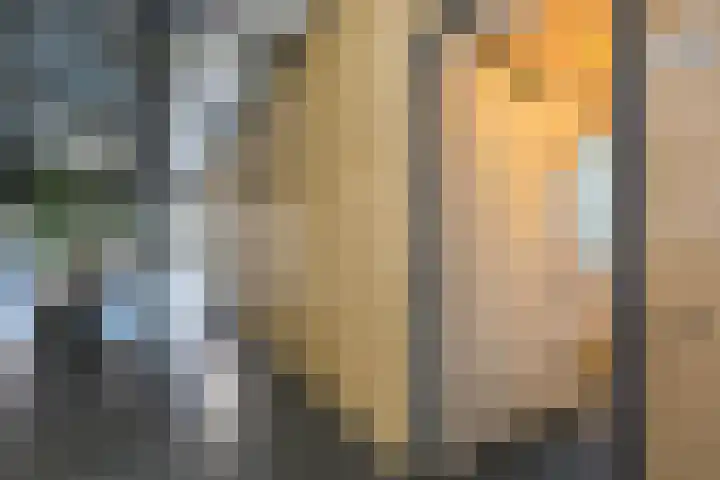 Terschellingkade 236 Amersfoort thumbnail 7