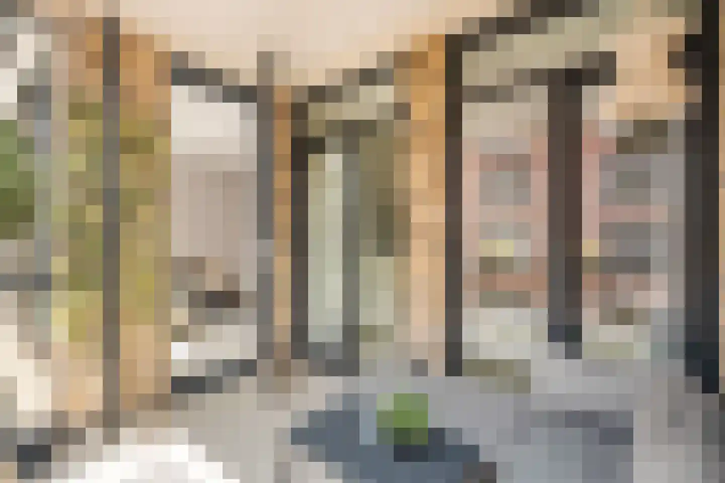 Terschellingkade 250 Amersfoort thumbnail 21