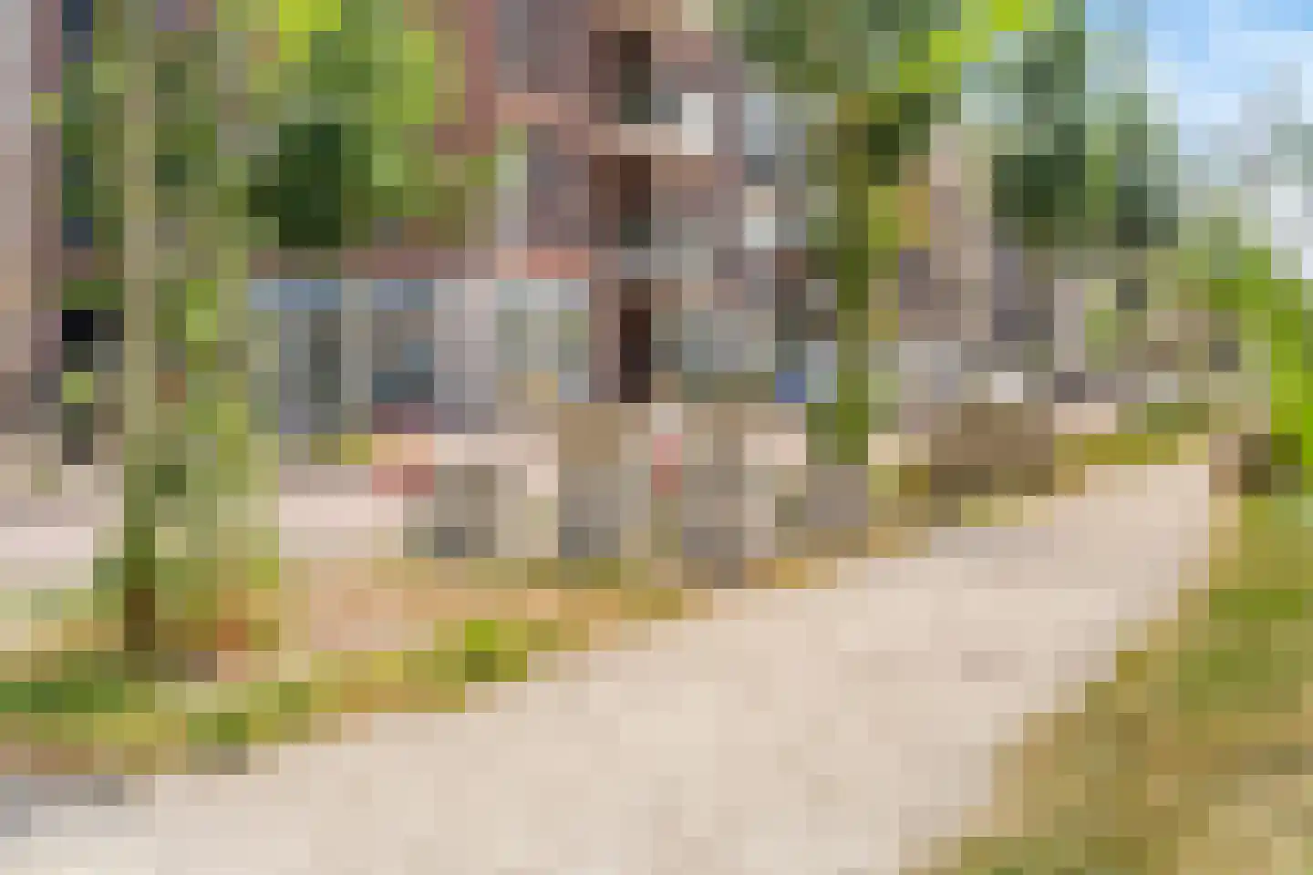 Terschellingkade 250 Amersfoort thumbnail 47