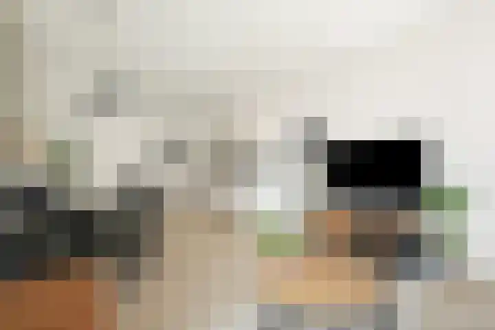 Terschellingkade 256 Amersfoort thumbnail 7