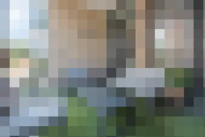 Terschellingkade 256 Amersfoort thumbnail 8