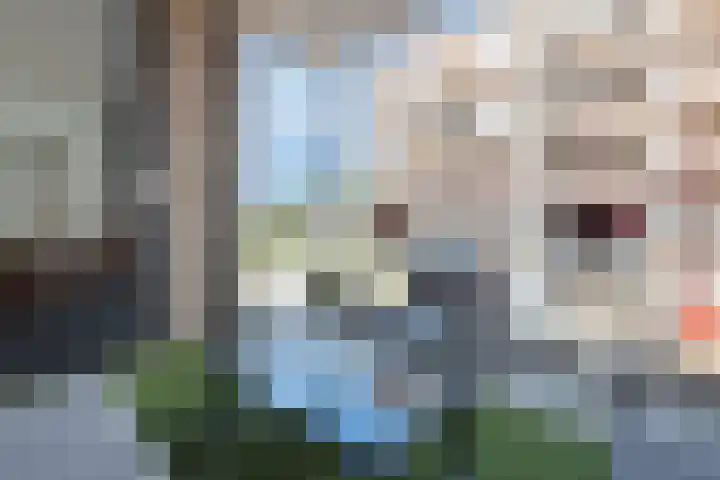 Terschellingkade 256 Amersfoort thumbnail 9