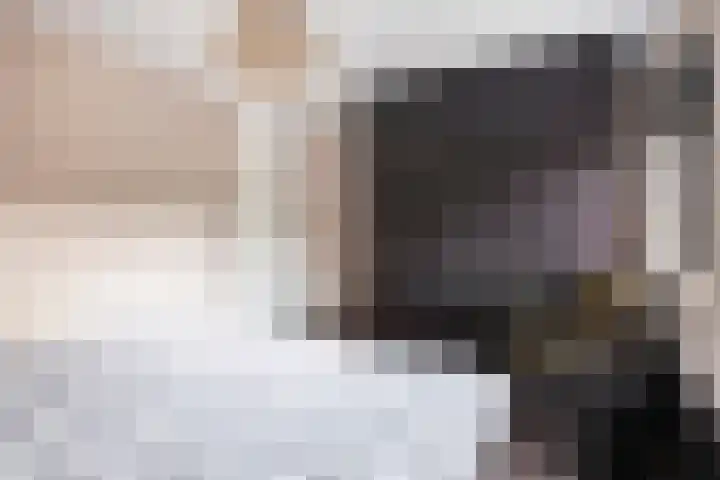 Terschellingkade 26 Woerden thumbnail 12