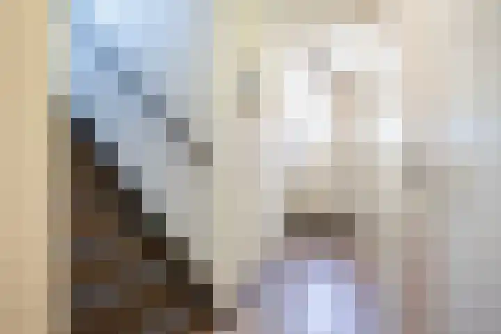 Terschellingkade 26 Woerden thumbnail 14