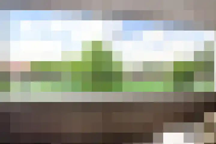 Terschellingkade 26 Woerden thumbnail 17