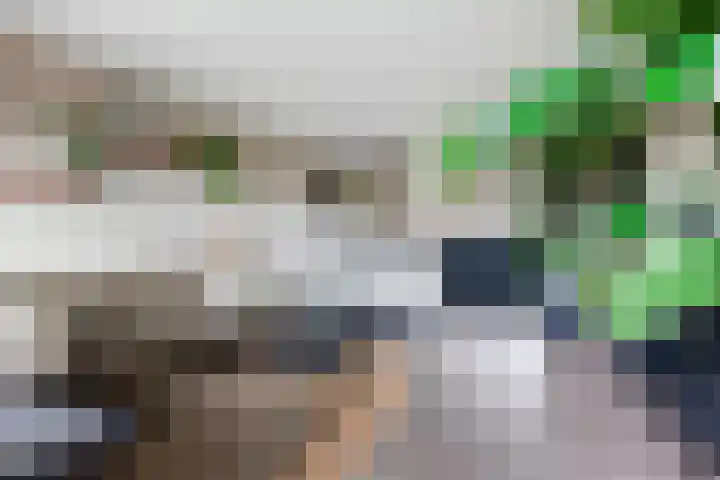 Terschellingkade 26 Woerden thumbnail 21