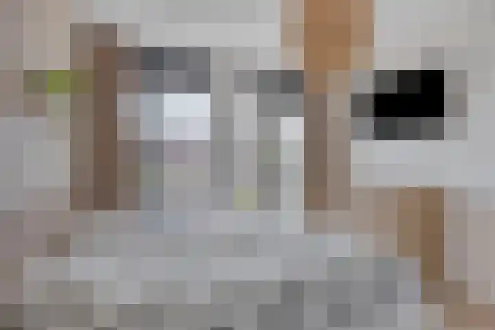 Terschellingkade 290 Amersfoort thumbnail 18