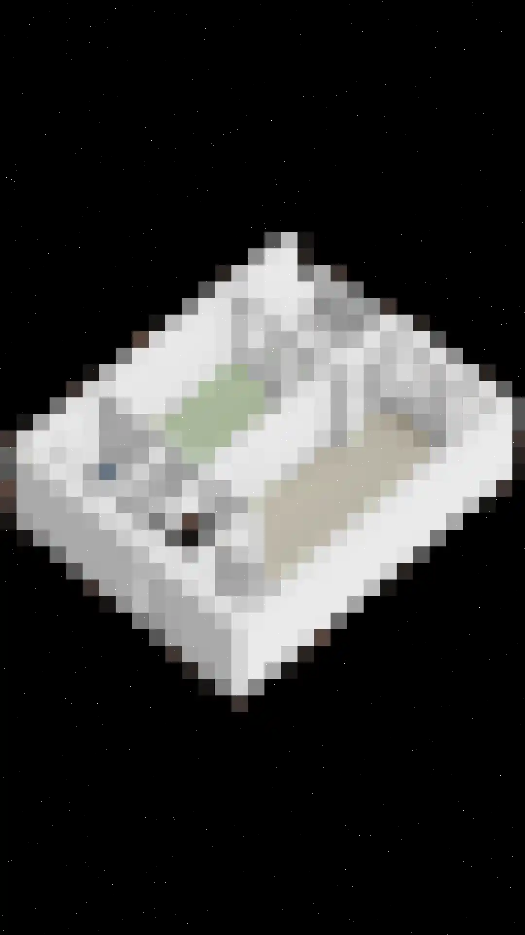 Terschellingkade 290 Amersfoort thumbnail 39