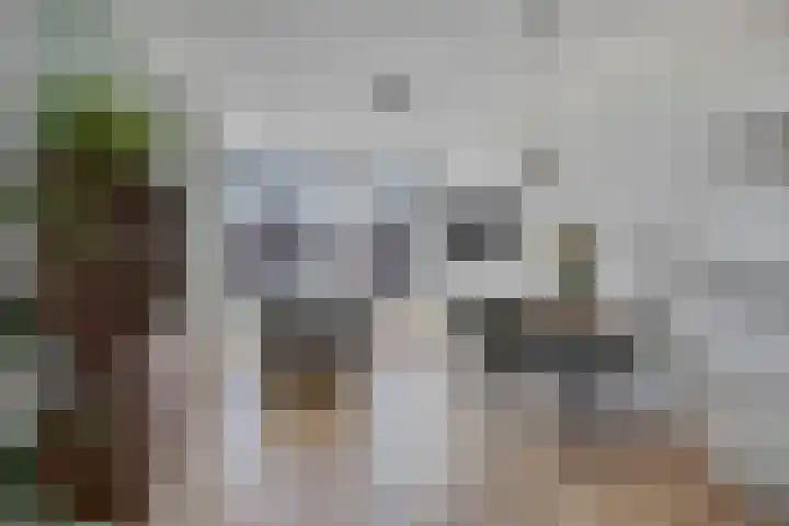 Terschellingkade 290 Amersfoort thumbnail 6