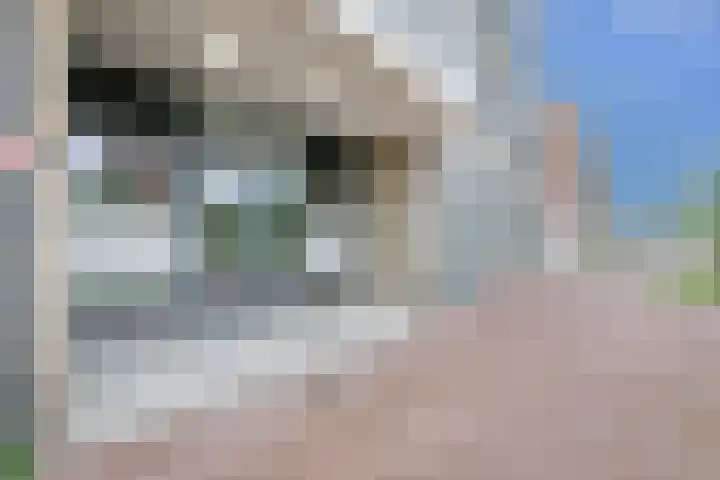 Terschellingkade 292 Amersfoort thumbnail 32