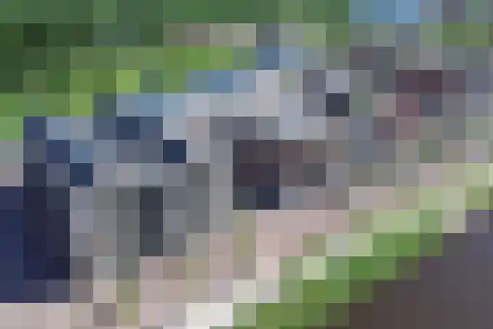 Terschellingkade 292 Amersfoort thumbnail 38