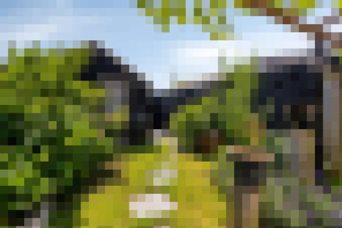 Terschellingkade 32 Amersfoort thumbnail 33