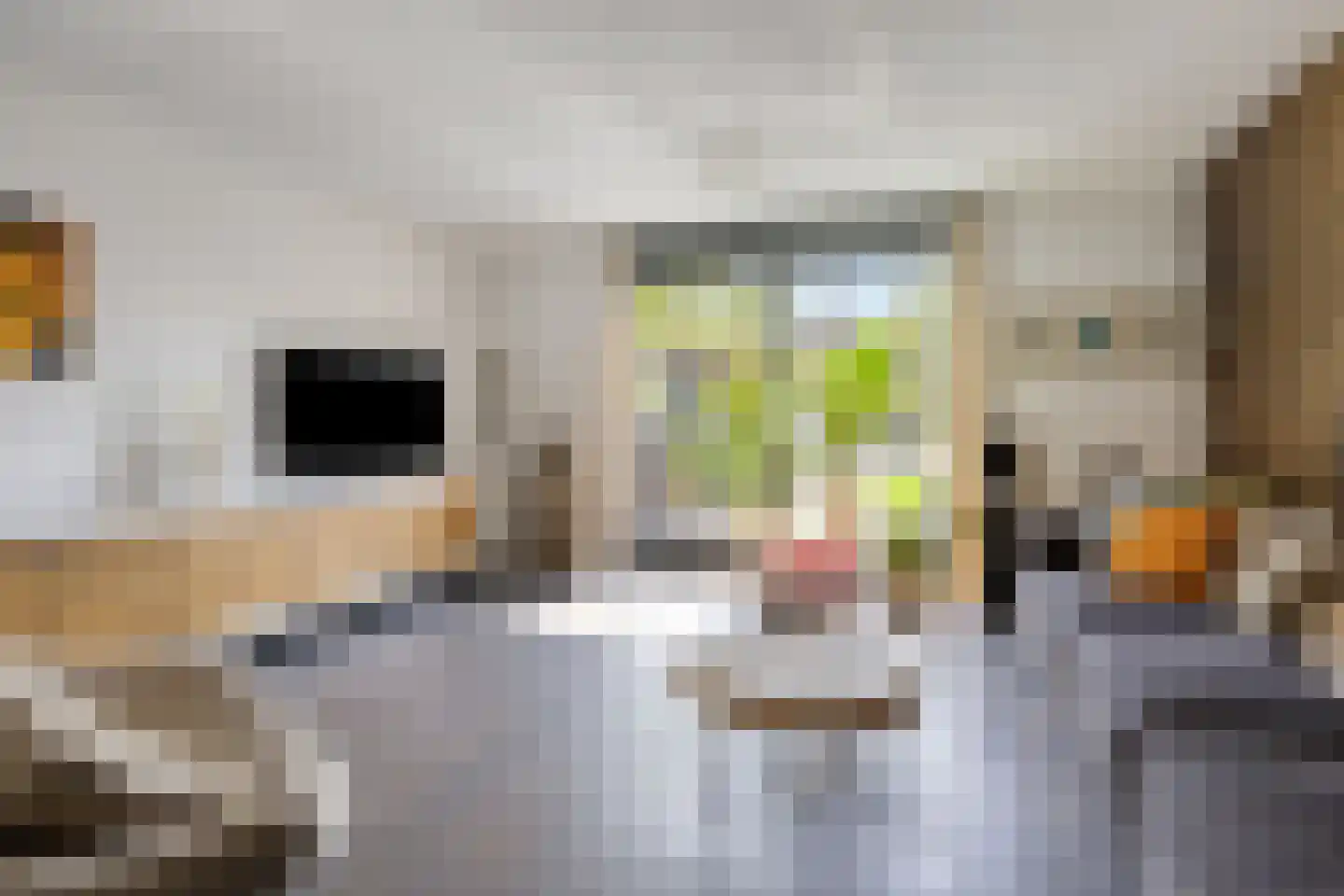 Terschellingkade 32 Amersfoort thumbnail 6
