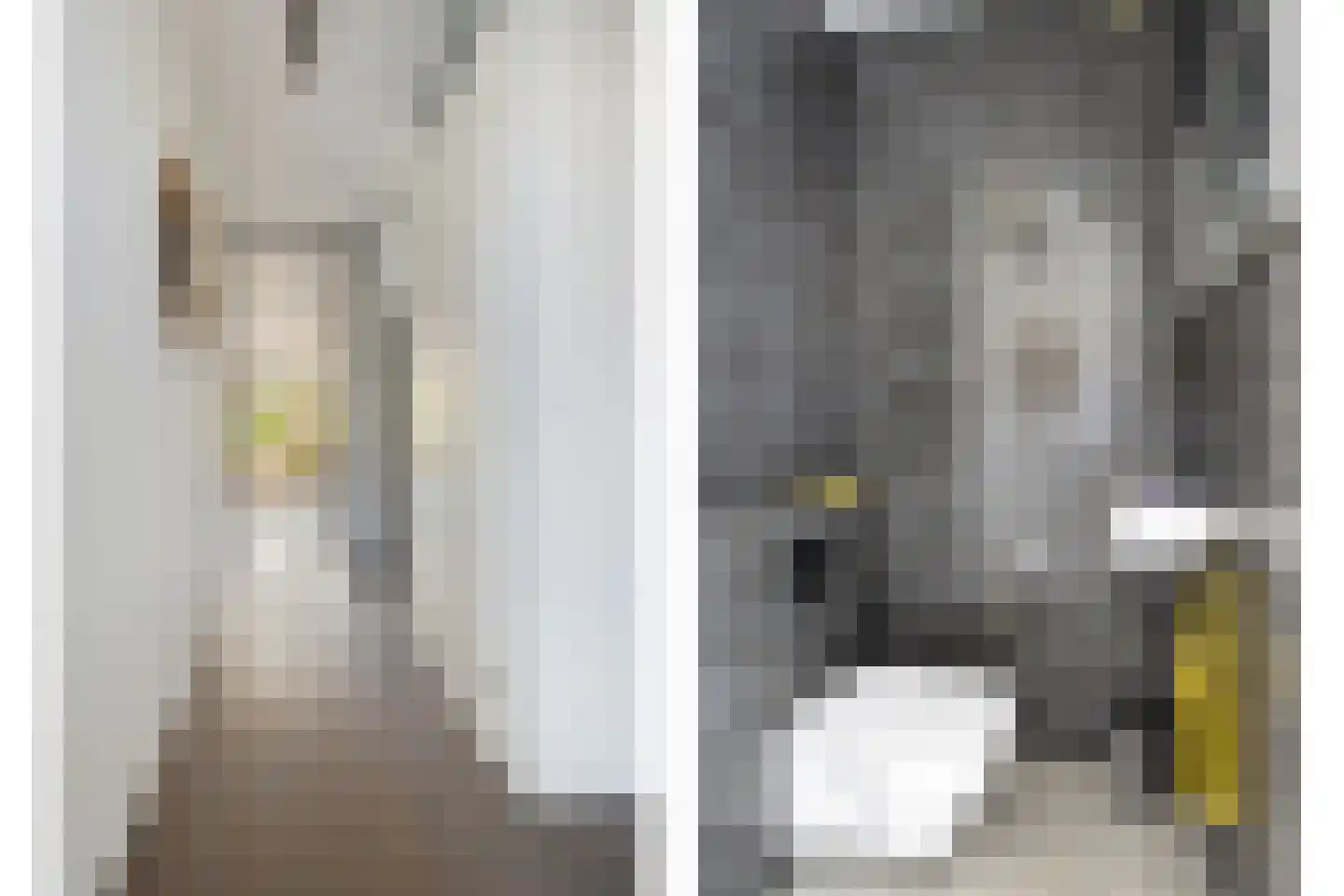 Terschellingkade 32 Amersfoort thumbnail 9