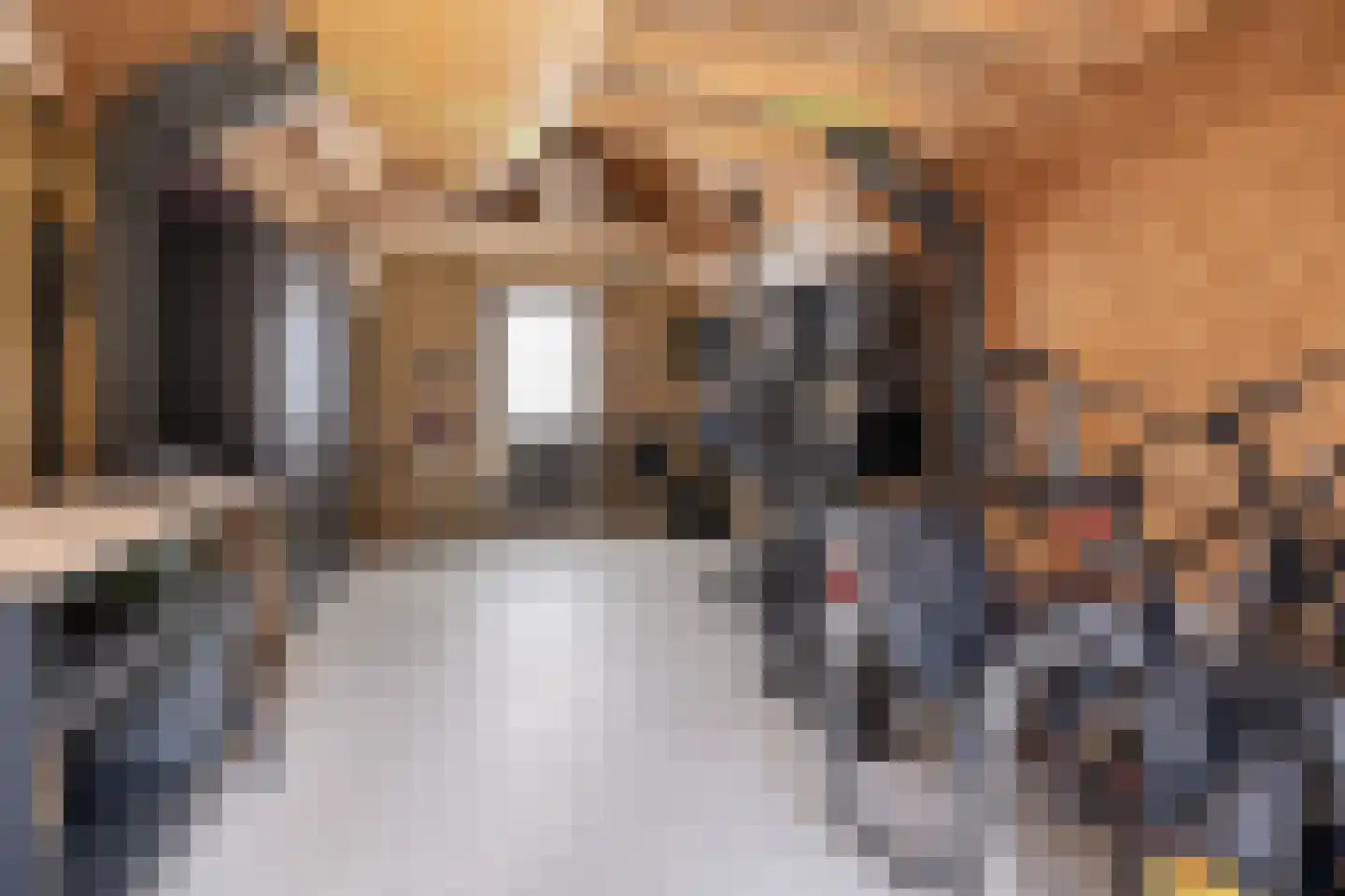 Terschellingkade 60 Amersfoort thumbnail 37