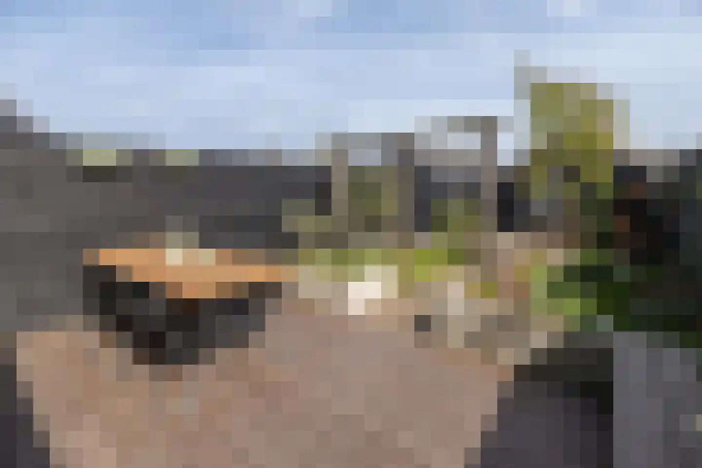 Terschellingkade 60 Amersfoort thumbnail 9