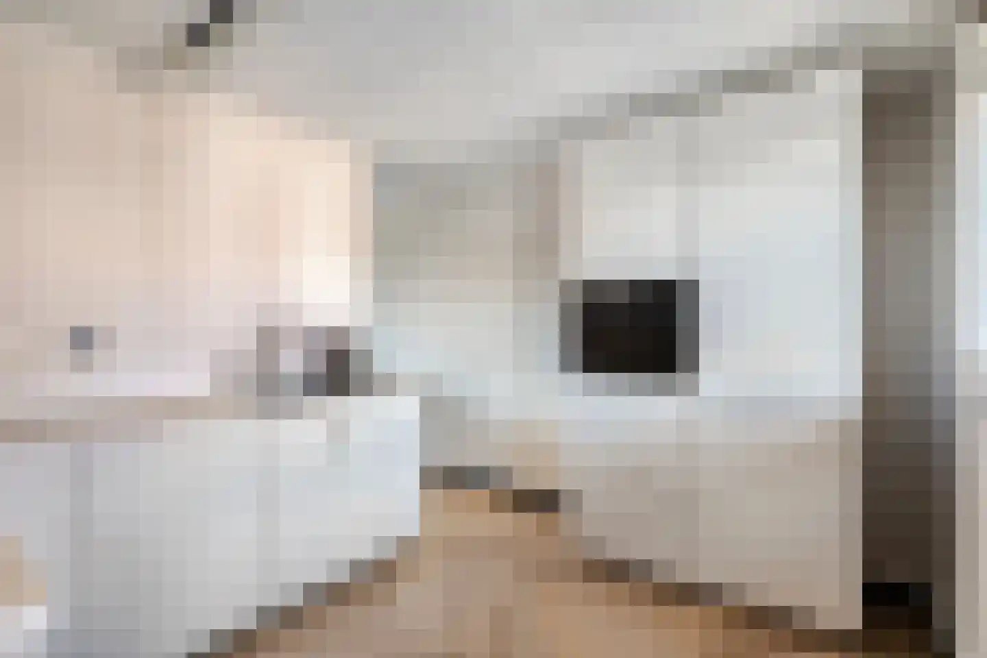 Terschellingkade 60 Woerden thumbnail 15