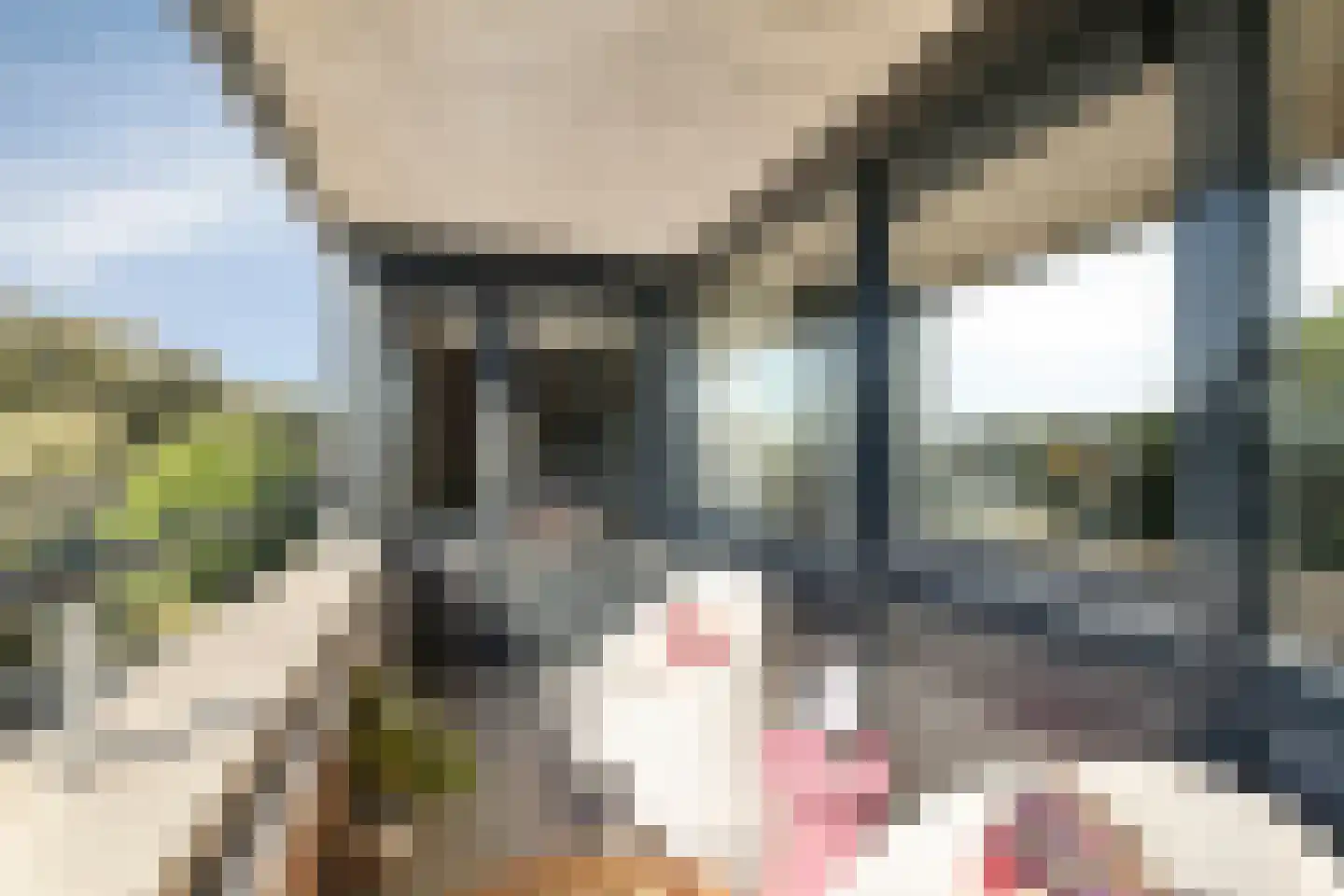 Terschellingkade 60 Woerden thumbnail 17
