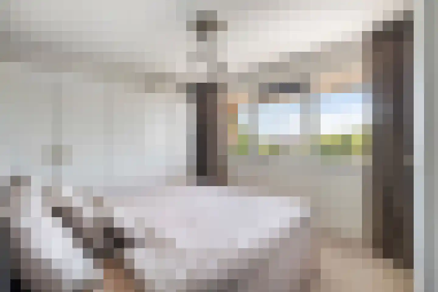 Terschellingkade 60 Woerden thumbnail 19