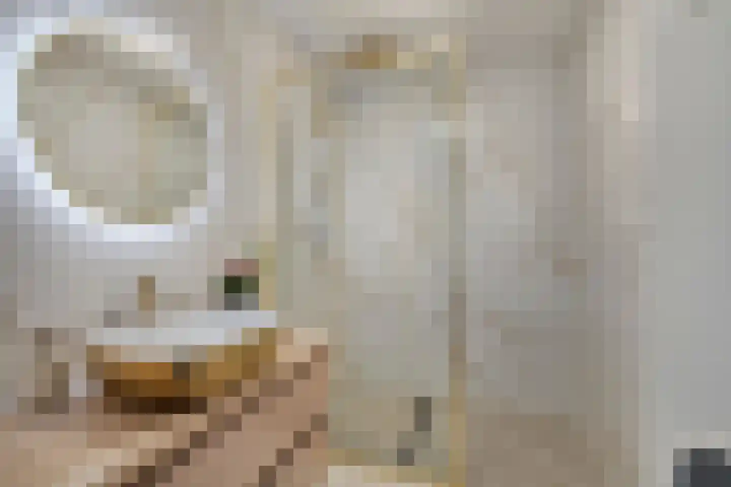 Terschellingkade 60 Woerden thumbnail 24