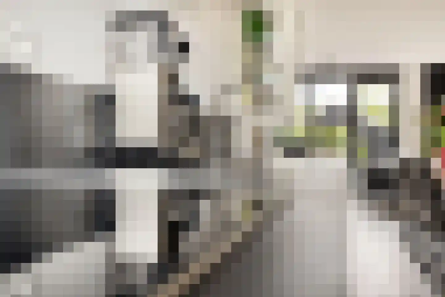 Terschellingkade 62 Amersfoort thumbnail 14