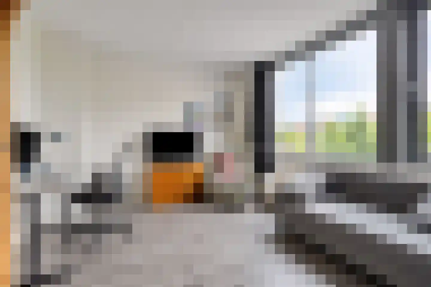 Terschellingkade 62 Amersfoort thumbnail 18