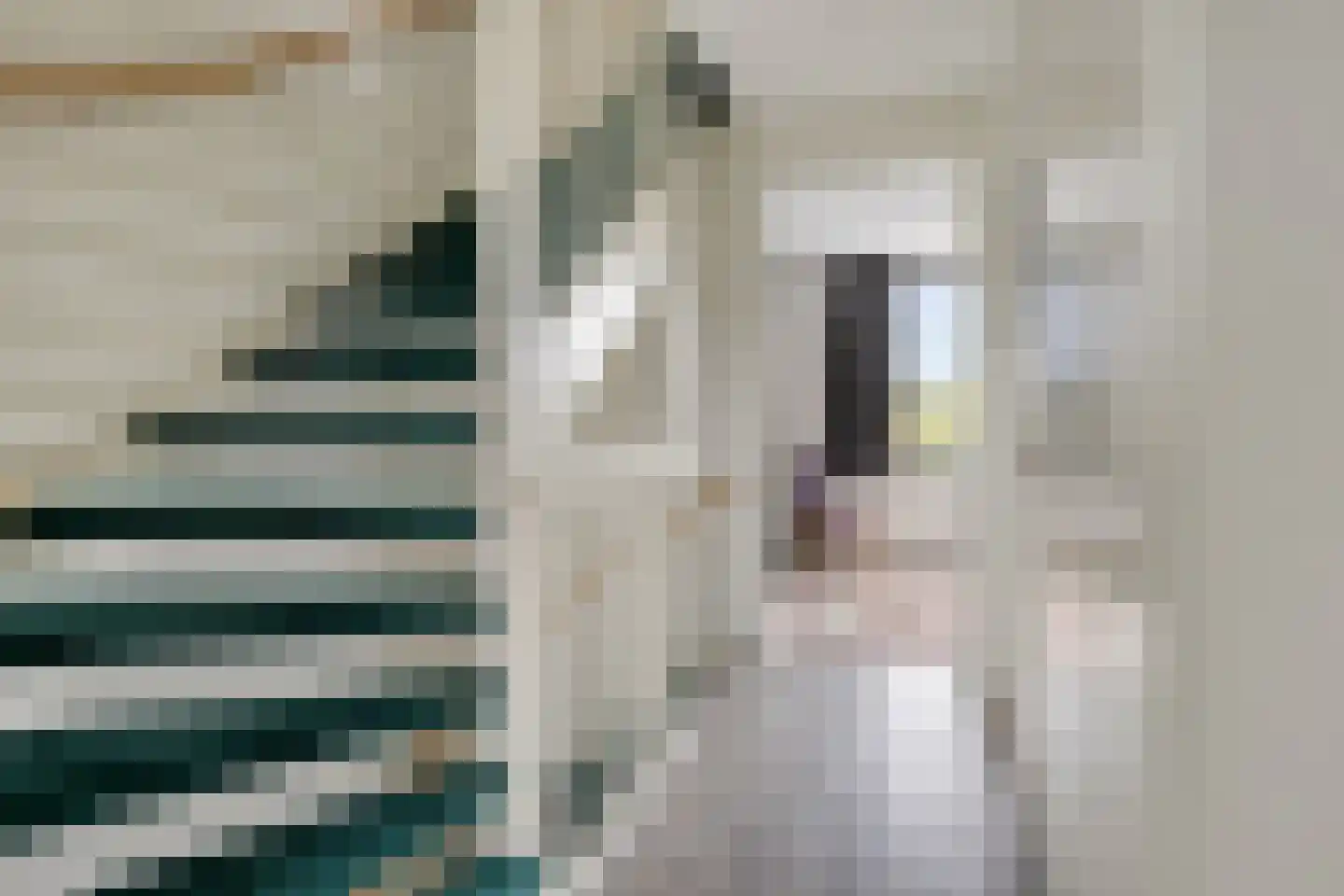 Terschellingkade 62 Amersfoort thumbnail 21