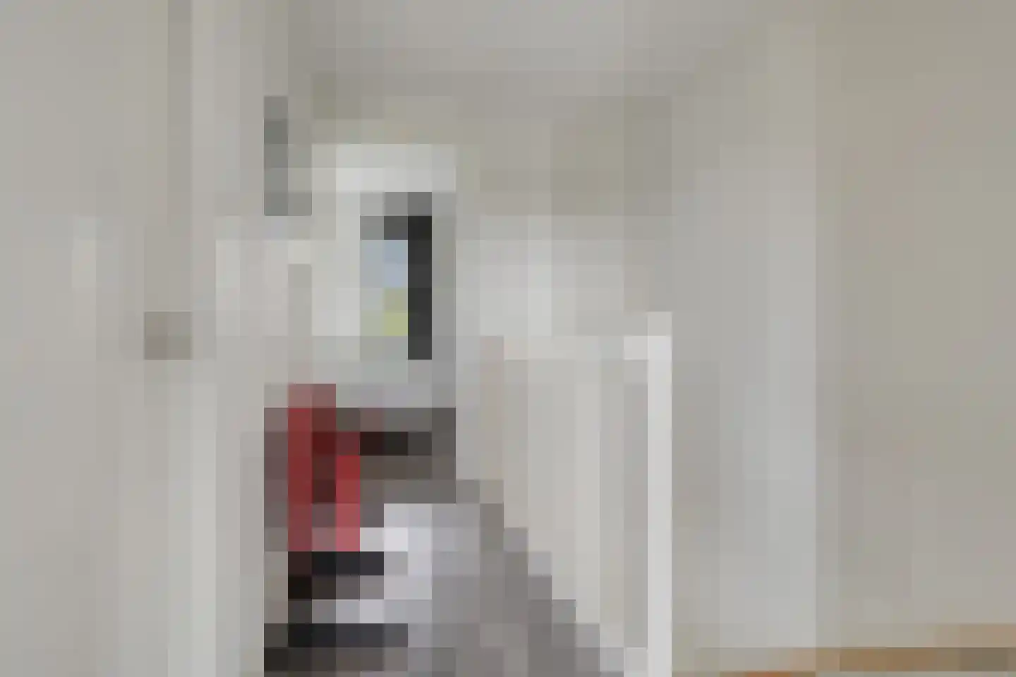 Terschellingkade 62 Amersfoort thumbnail 22