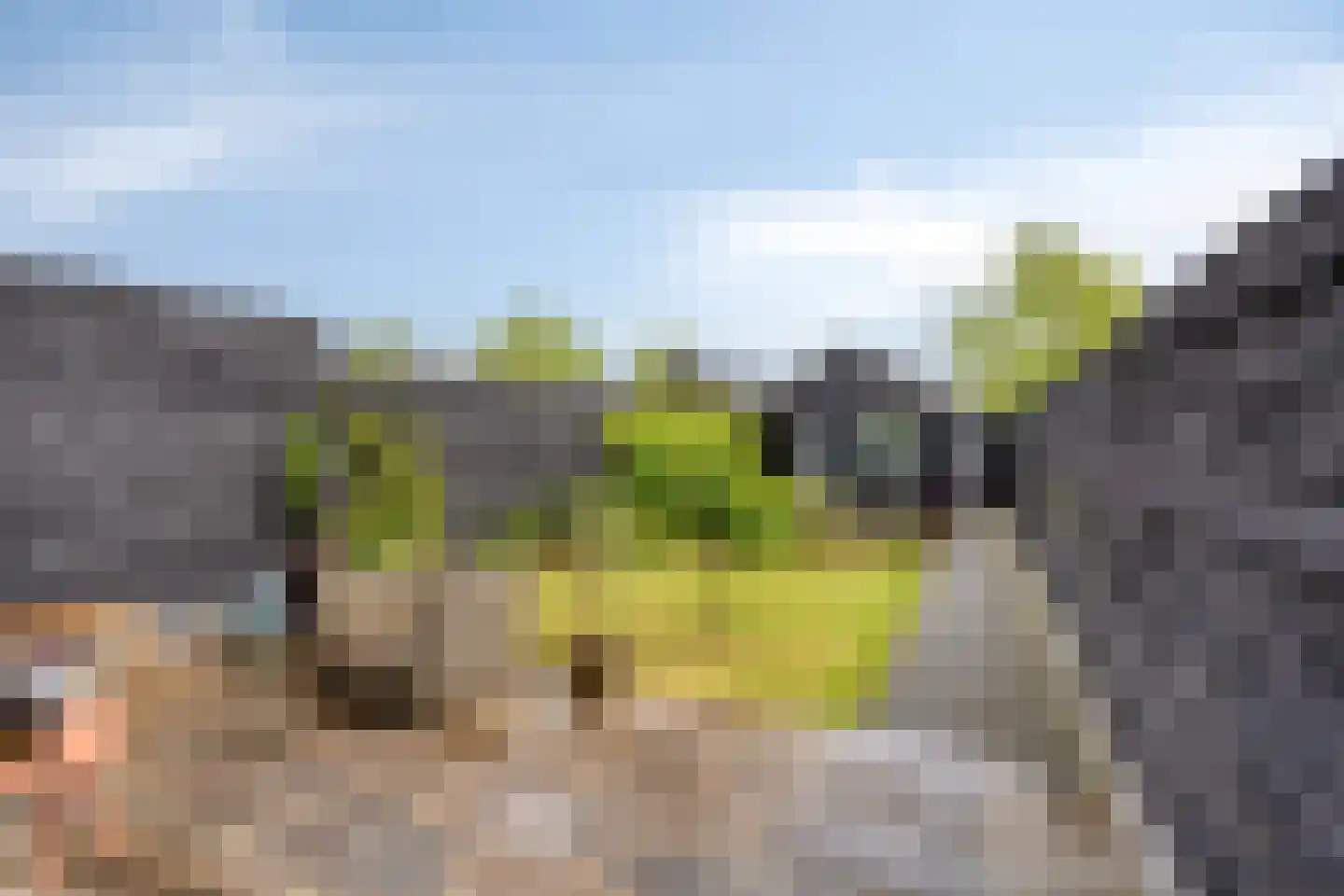 Terschellingkade 62 Amersfoort thumbnail 26