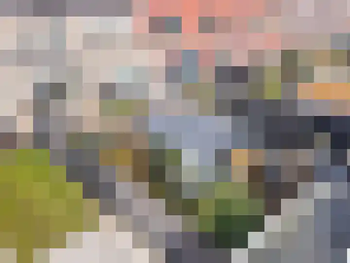 Terschellingkade 70 Amersfoort thumbnail 39