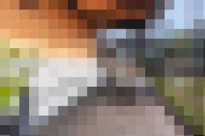 Terschellingkade 70 Amersfoort thumbnail 40
