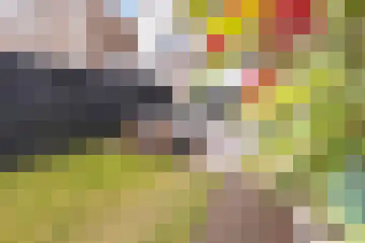 Terschellingkade 70 Amersfoort thumbnail 41