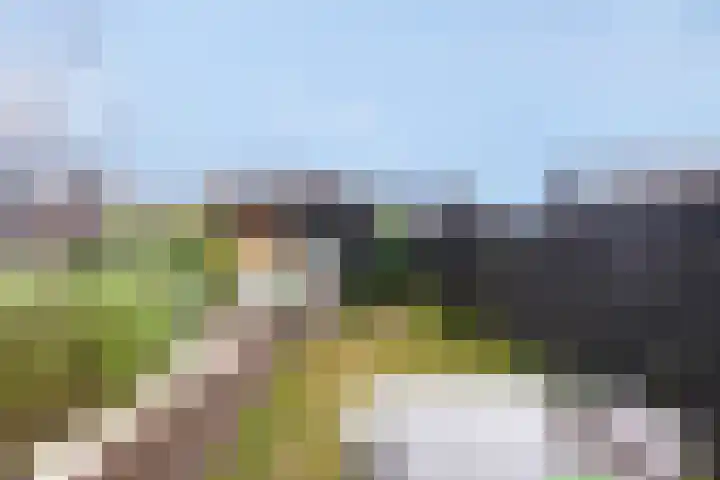 Terschellingkade 70 Amersfoort thumbnail 42