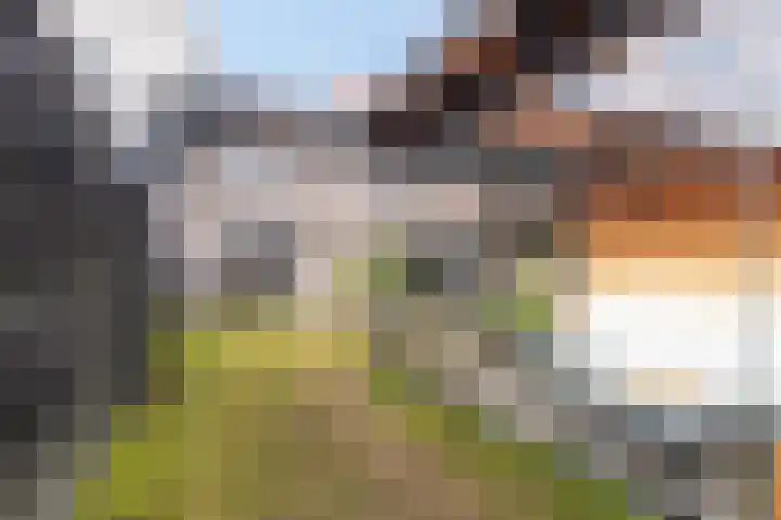 Terschellingkade 70 Amersfoort thumbnail 43