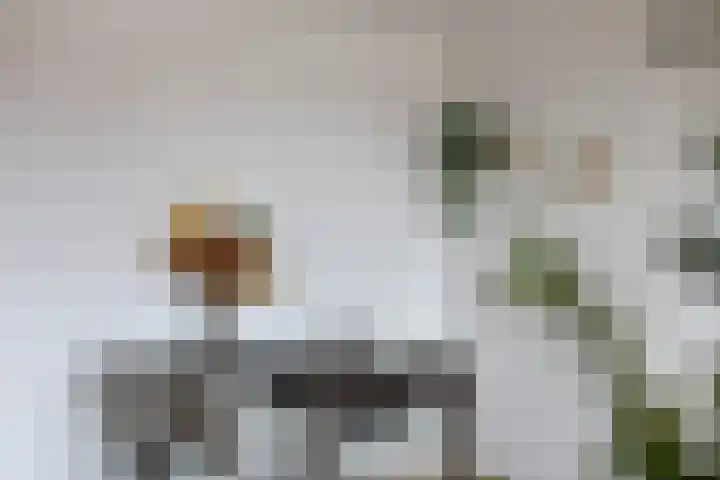 Terschellingkade 71 Woerden thumbnail 18