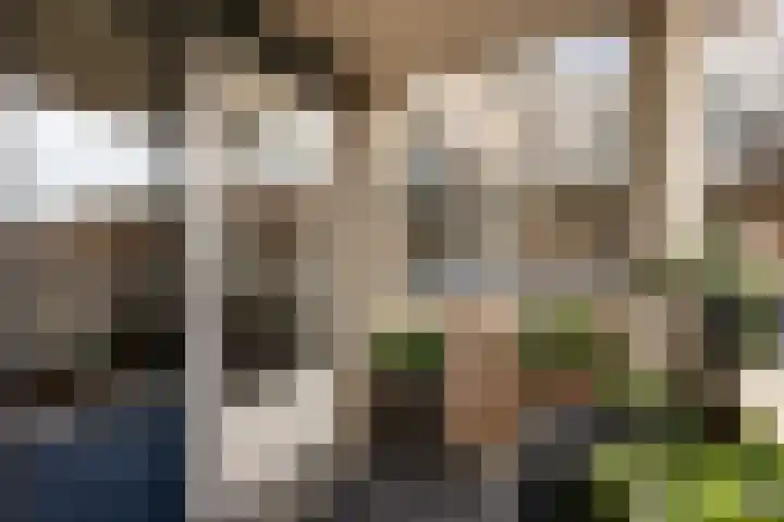Terschellingkade 71 Woerden thumbnail 24