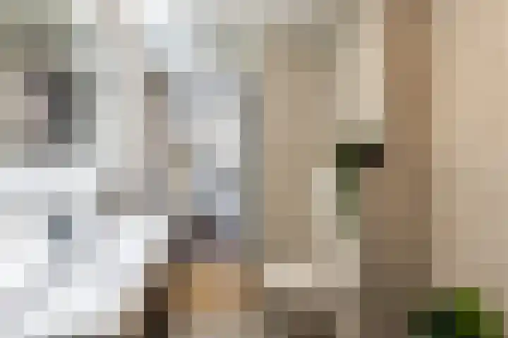 Terschellingkade 71 Woerden thumbnail 32