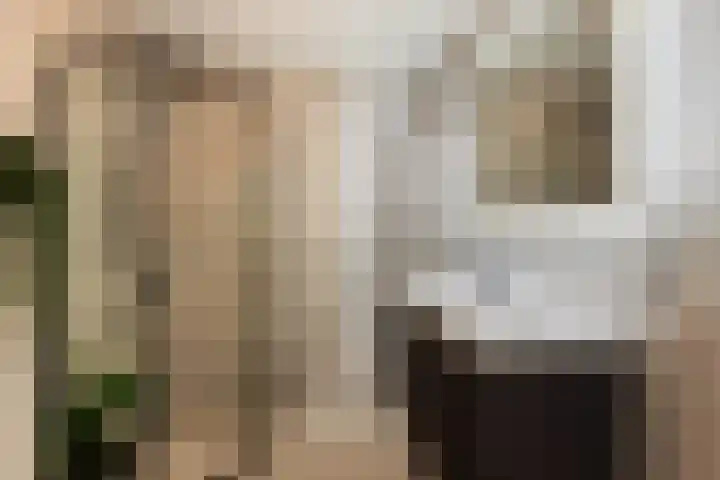 Terschellingkade 71 Woerden thumbnail 34